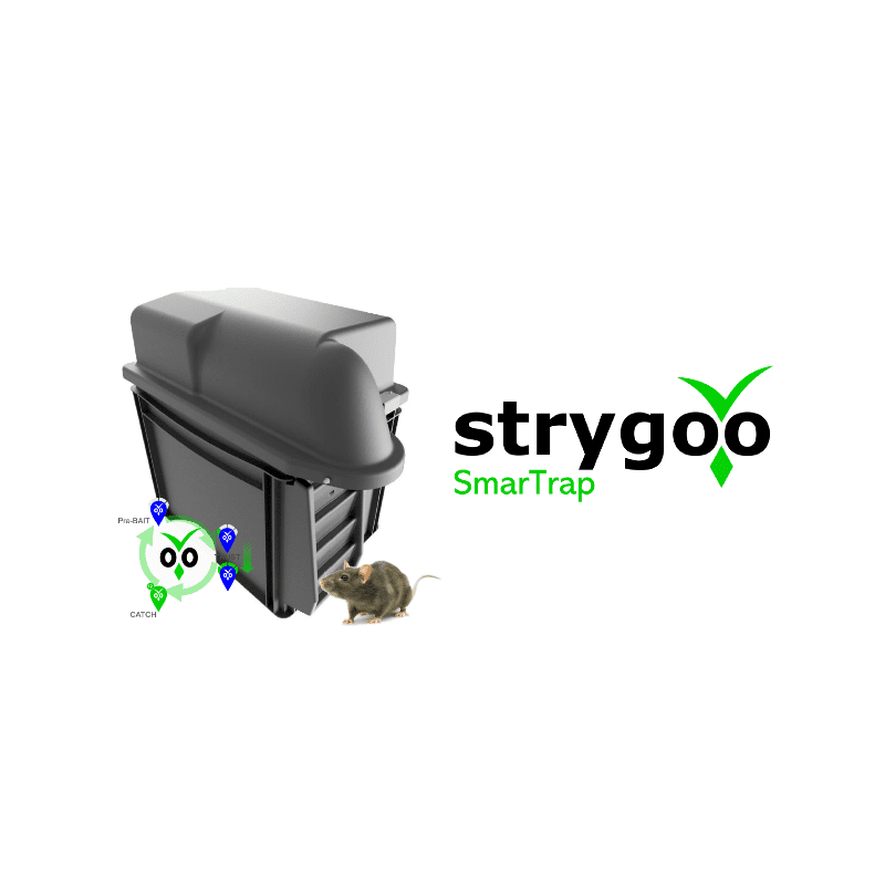 Strygoo Smar Trap Rats