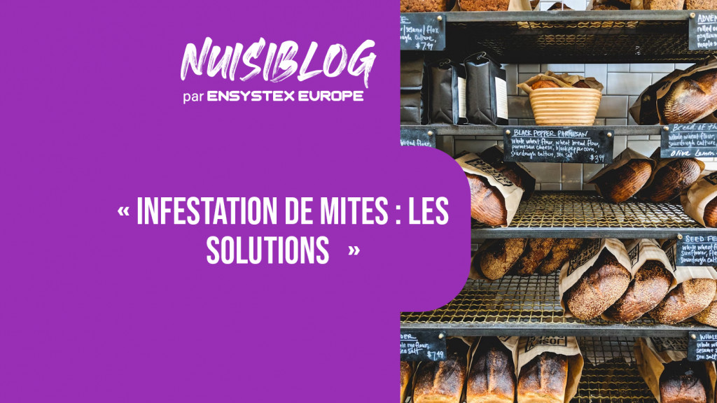 Piège à mite alimentaire professionnel à entonnoir 100 m²