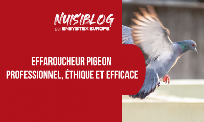 Effaroucheur pigeon professionnel : la solution éthique et efficace